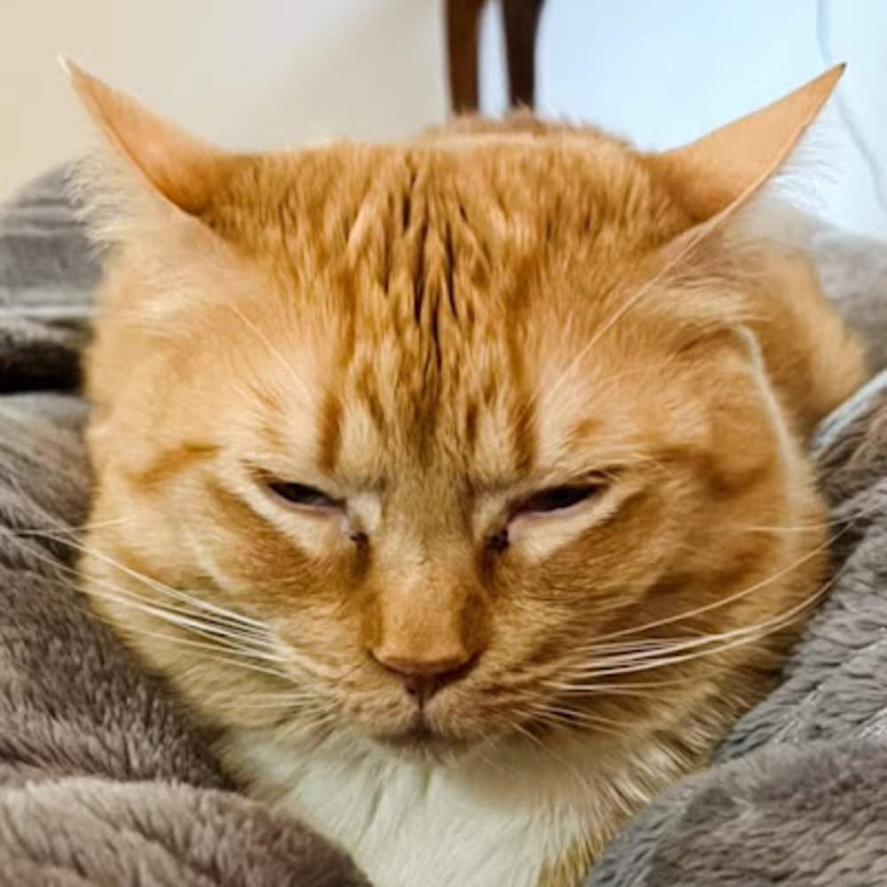 Meet your Posher, Valentina